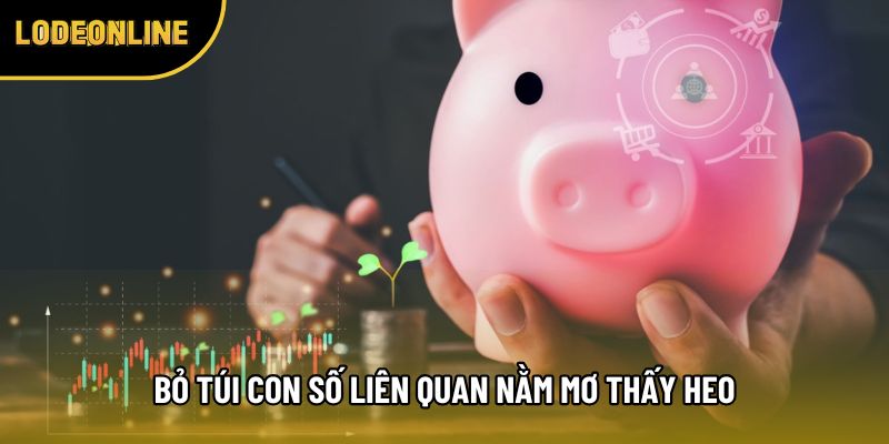 Bỏ túi con số liên quan nằm mơ thấy heo