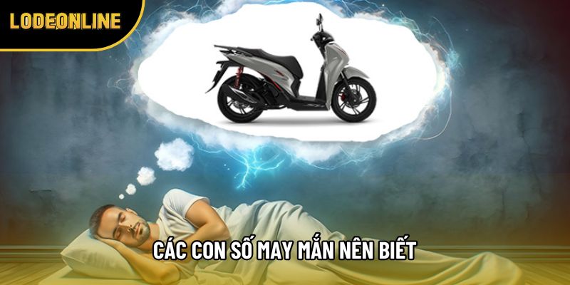 Các con số may mắn nên biết
